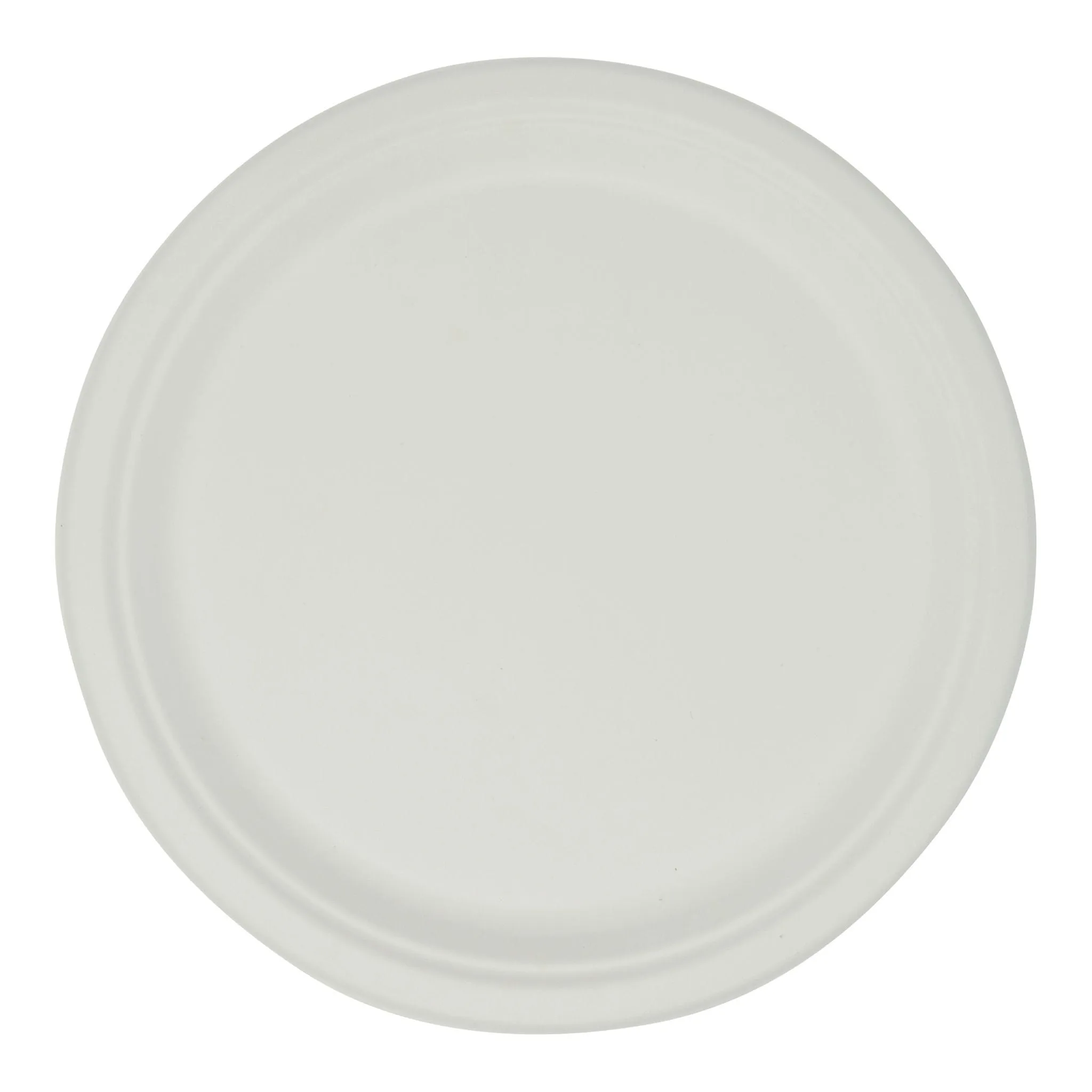 10" Bagasse Paper Plates.