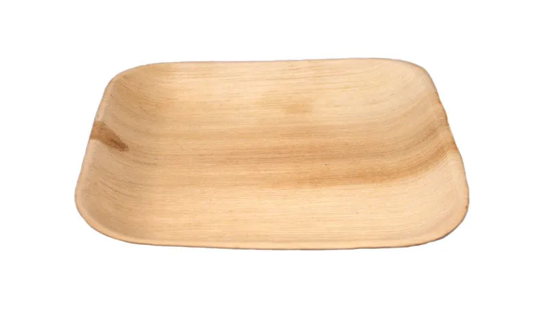 6" Square Flat Festivalware Palm Plate (case)