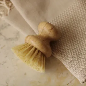 Casa Agave | Dish Washing Scrubber