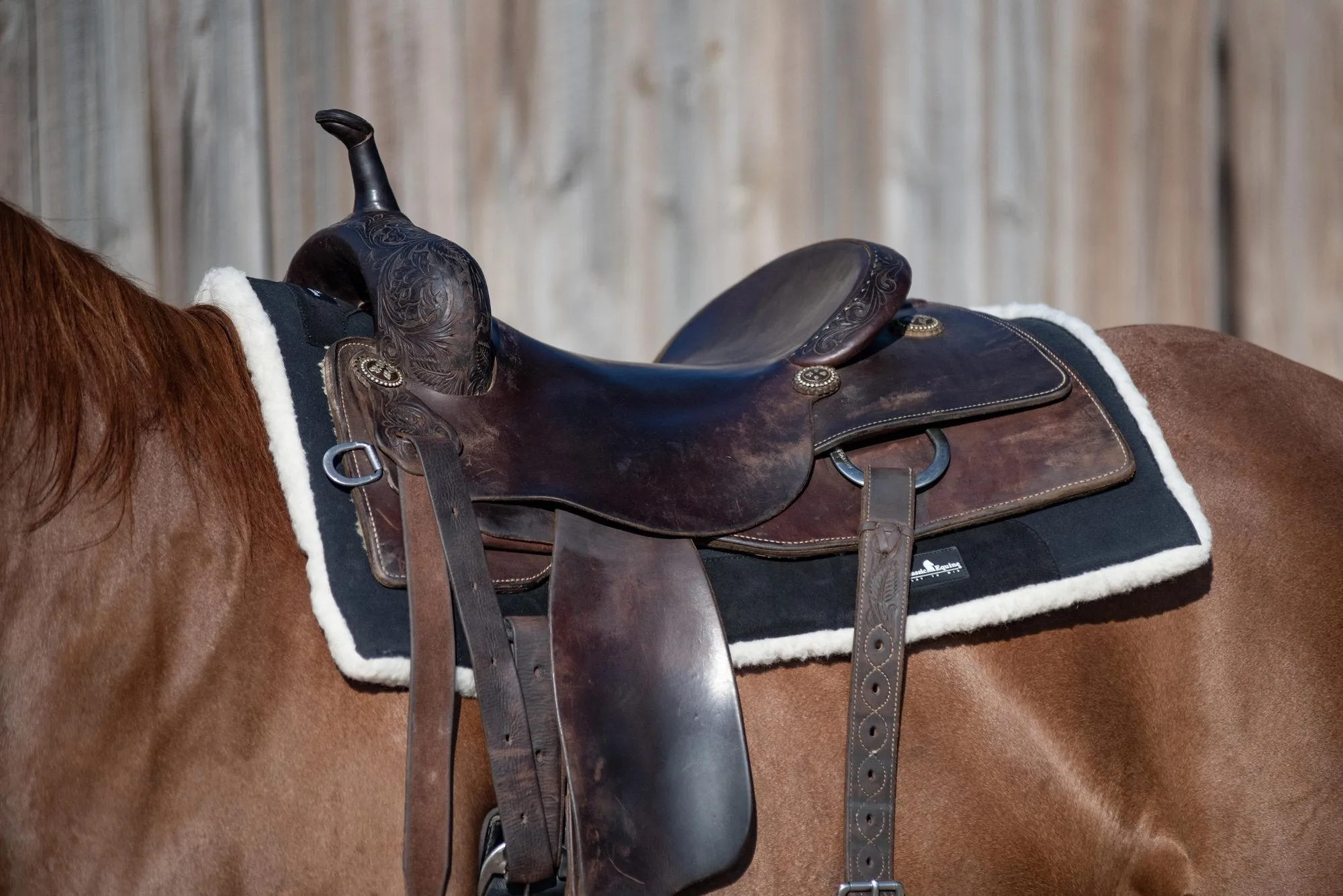 Classic Equine 3/4" Performance Trainer Saddle Pad- Black