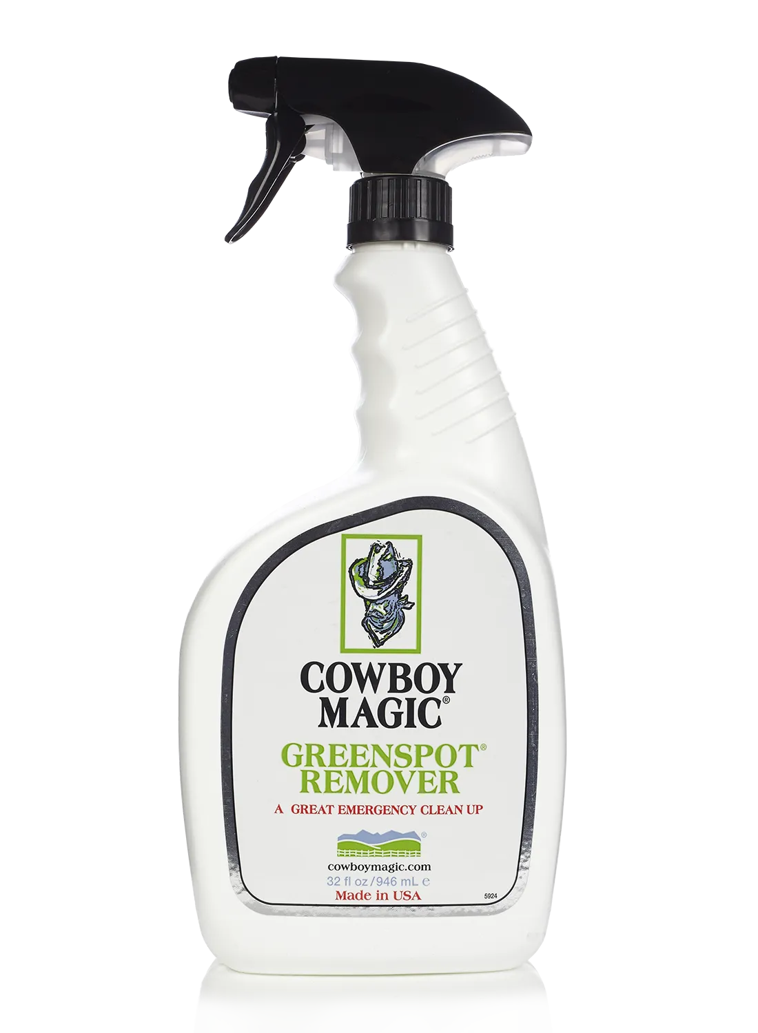 Green spot remover - waterless shampoo
