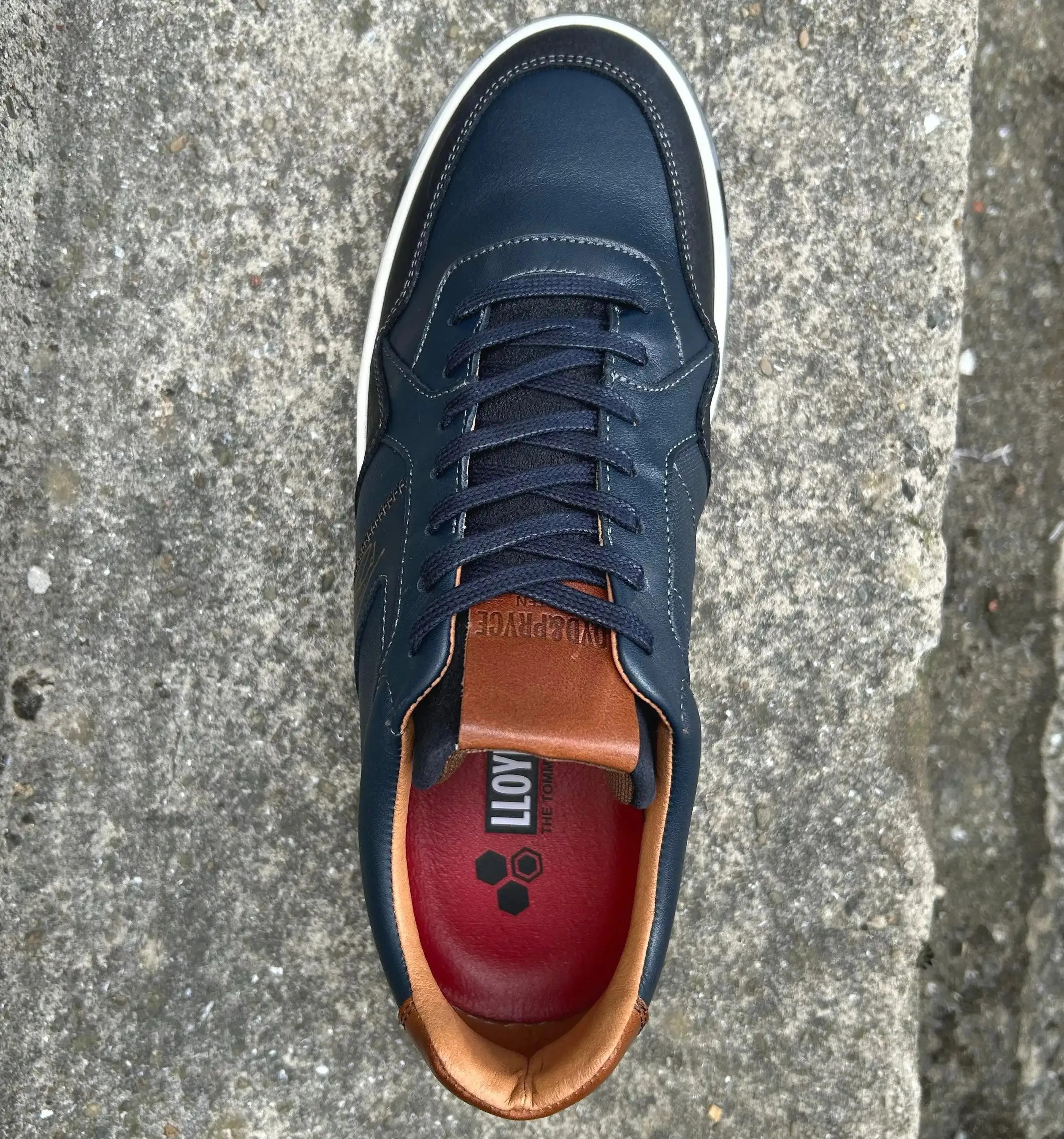 Lloyd & Pryce Mens Izuch Sneakers Storm Dot