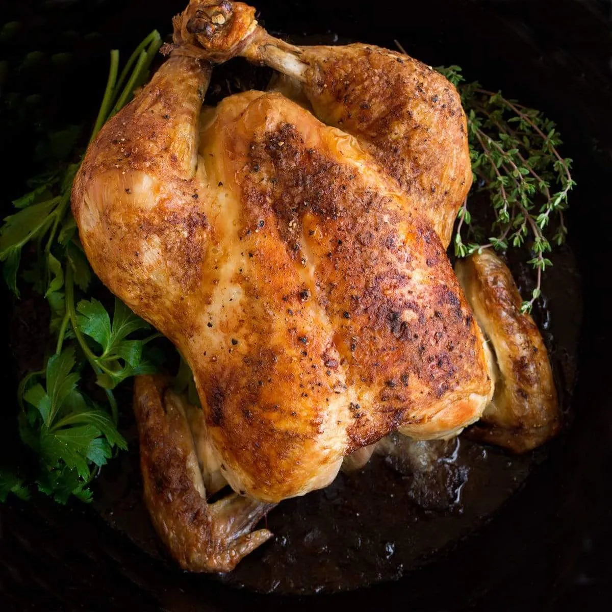 Pollo Eco entero (peso medio 2,5 Kg)