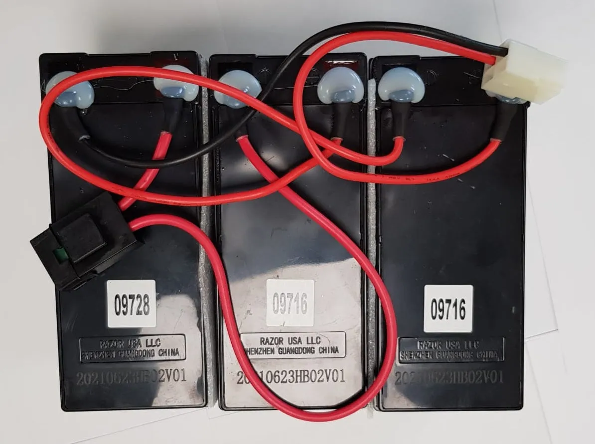 Razor EcoSmart Battery w/Fuse